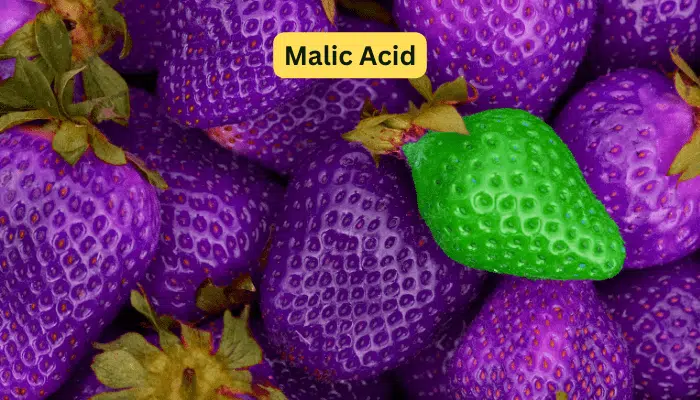 Malic Acid